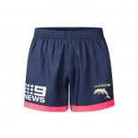 Shorts Dolphins Rugby 2026