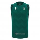 Canotta Galles Rugby 2026 Allenamento Verde